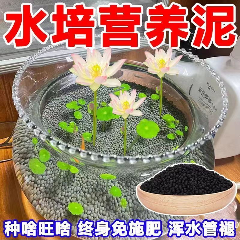 碗蓮專用營養泥不臭不混水超省心