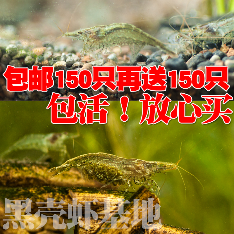 龙层花作品