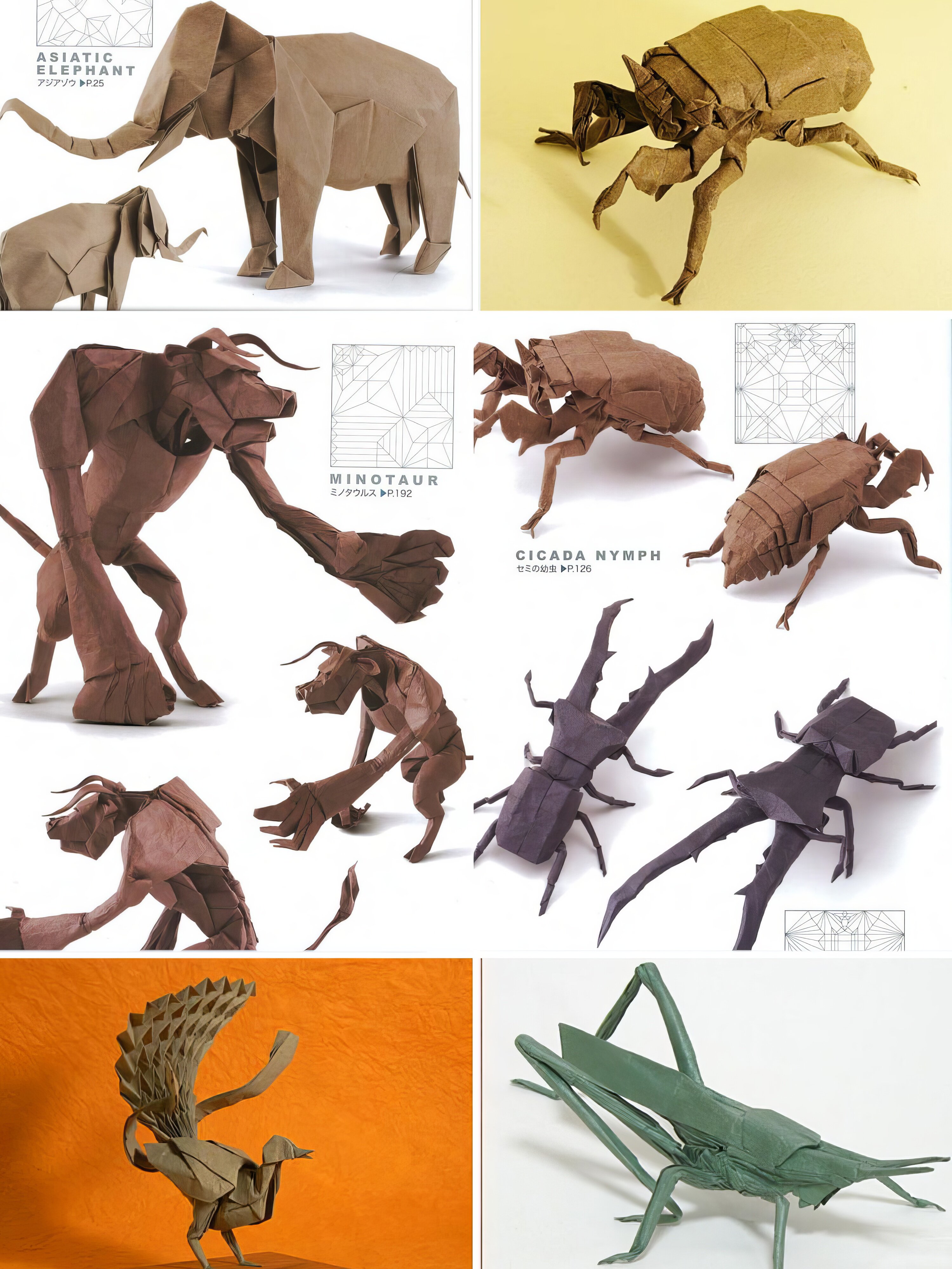 折纸资料试看探团神谷吉野小松作品pdf网盘下载复杂教程cp图