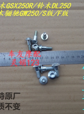 适用铃木DR300/DR250/GSX250R/DL250骊驰GW250刹车盘碟刹盘螺丝