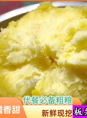 板栗薯黄心甜面粉番薯蜜红薯正宗山东新薯现挖蛋黄红皮老品种新鲜