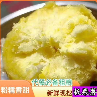 板栗薯黄心甜面粉番薯蜜红薯正宗山东新薯现挖蛋黄红皮老品种新鲜