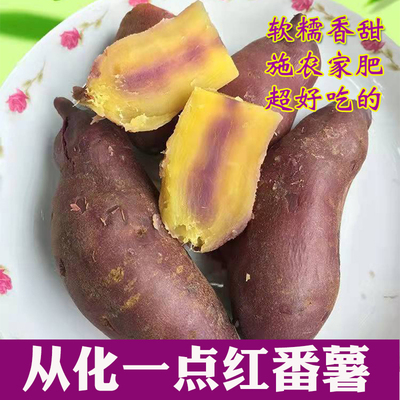 正宗从化一点红番薯软糯香甜好吃