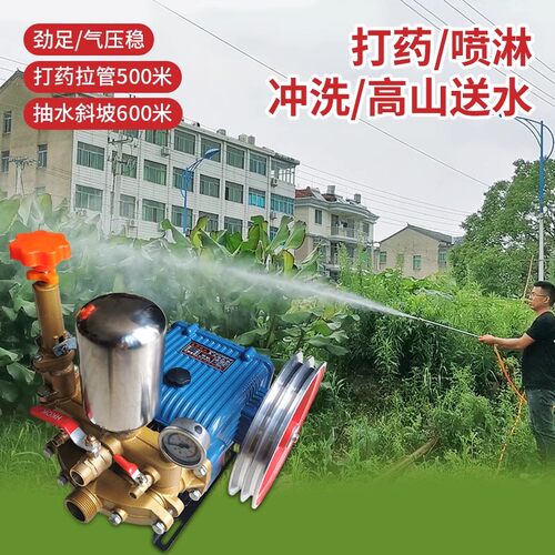 四缸高压泵高山送水渔业清洗