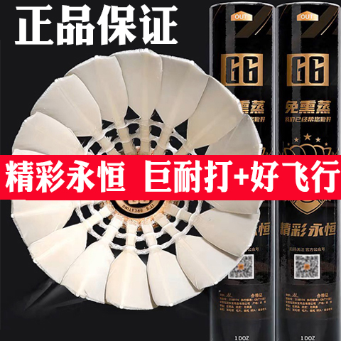 免熏蒸训练比赛专用羽毛球G6