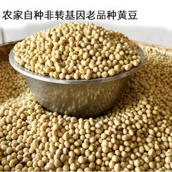新货非转基因小黄豆陕西汉中农家自种老品种精选黄豆打豆浆菜豆腐