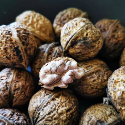 云南山间老种核桃皮薄润香