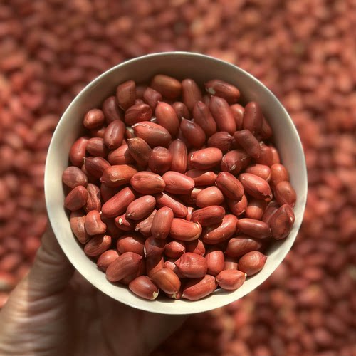 红皮花生云南去壳花生仁新鲜现剥