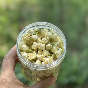 南东西 新花 云南头茬冻干茉莉花 花茶干花泡茶 自然清香 拍3发4