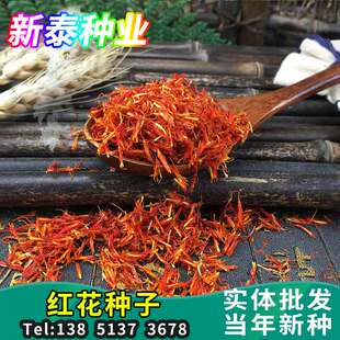 特价药材红花种子红蓝花刺红花新疆草红花白平子可搭艾叶泡脚包茶