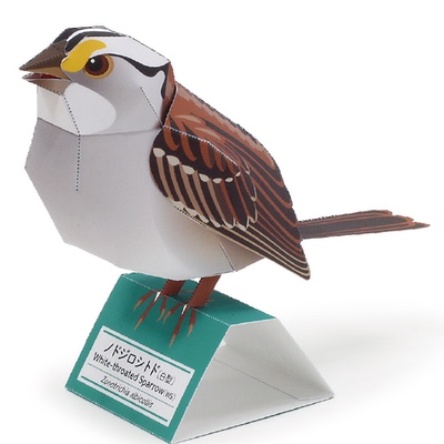 仿真小鸟麻雀白喉带鹀纸模型