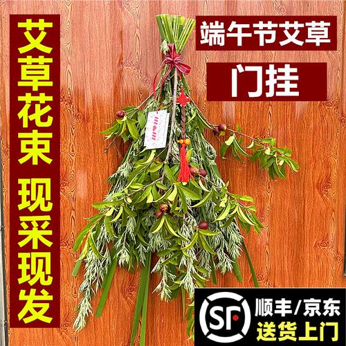 【艾草门挂】新鲜采摘送10棵
