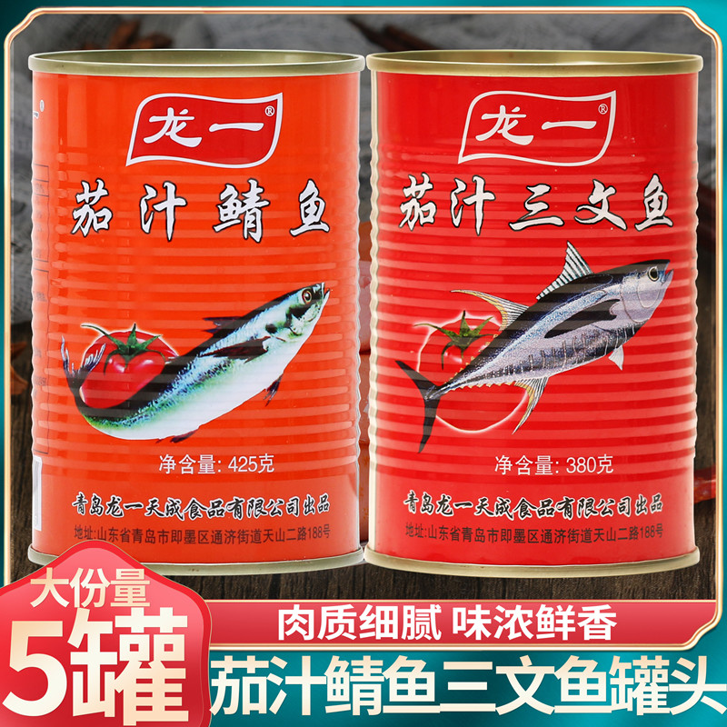 龙一即食海鲜水产下饭菜茄汁鲭鱼