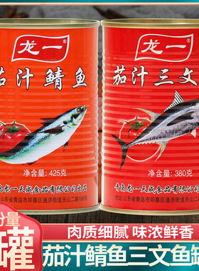 龙一茄汁鲭鱼罐头 茄汁三文鱼罐头番茄味即食海鲜鱼肉水产下饭菜