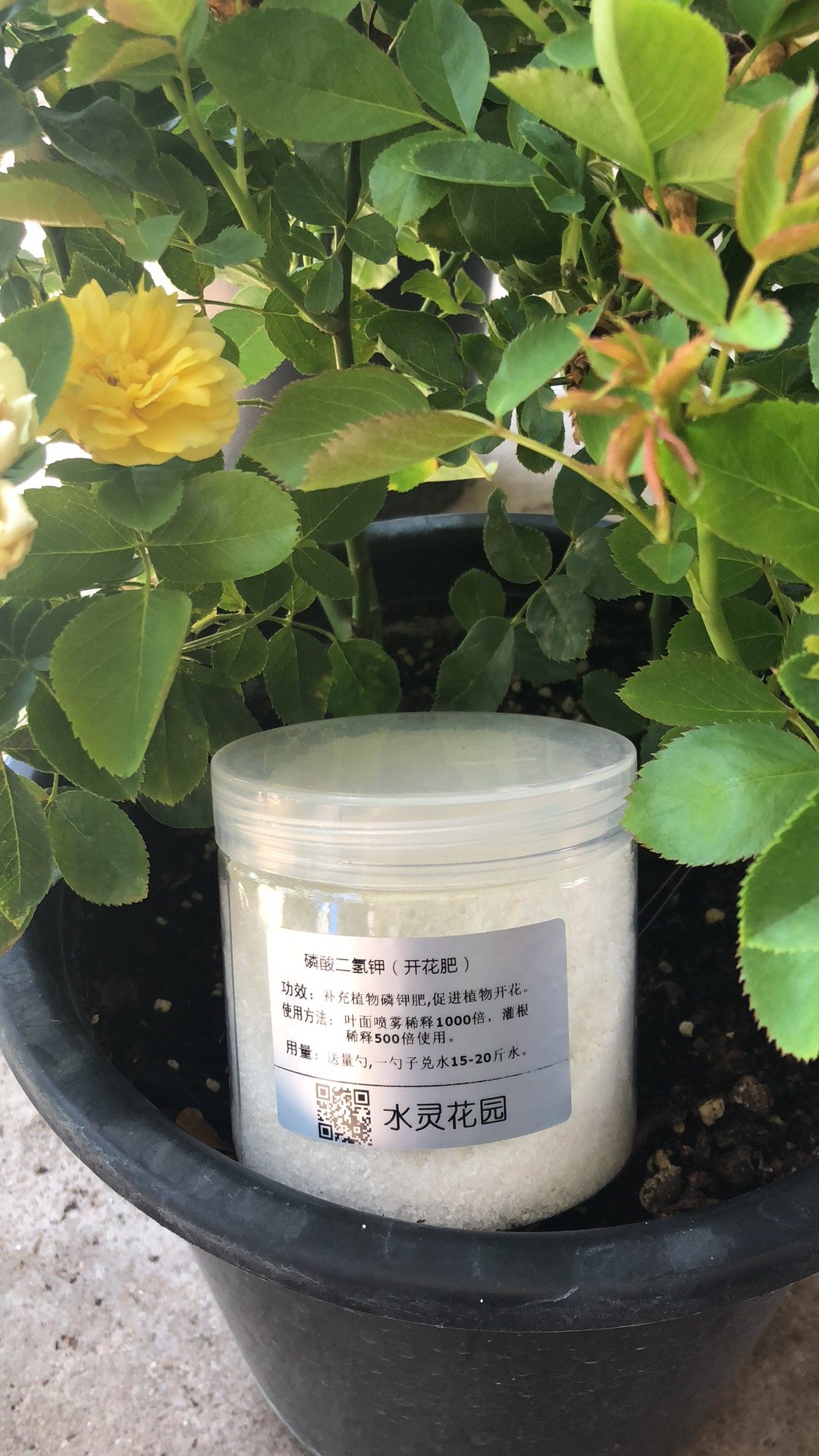 磷酸二氢钾250g 促开花肥料 送5克勺|ruв категории доставка цветов/цветок моделирования/растения садоводства, садовых принадлежностей, домашнее садоводство удобрений/питательной почвы/питательный раствор - от Buy2taobao.com для оказания профессиональной услуги покупки агента Taobao