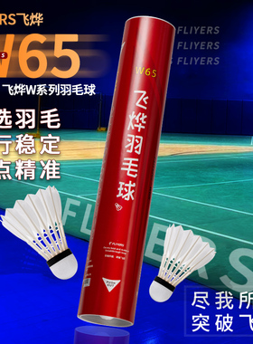 正品飞烨W65/W55/W45鸭毛球训练比赛用球室内飞行稳定耐打羽毛球