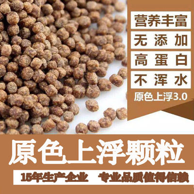 锦鲤观赏鱼饲料饵料鱼粮漂浮不浑水鱼食增体增色好消化预防肠炎
