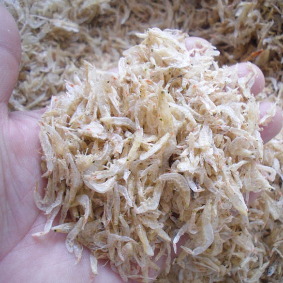 淡水虾干虾皮小乌龟饲料