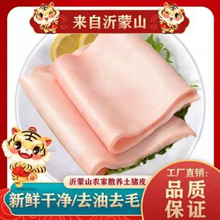 厂家自销新鲜猪皮脊背皮长条皮人工去油去毛猪皮皮冻用家用商用