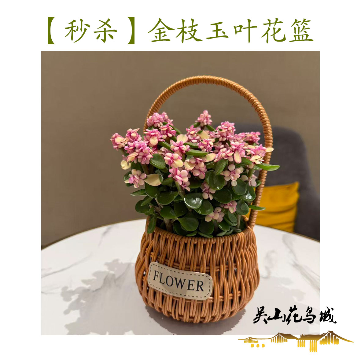 金枝玉叶多肉花篮 吴山花鸟城图片