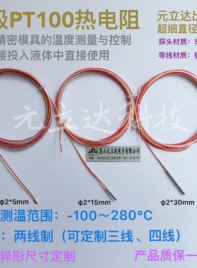 A级PT100热电阻直径2x5mm超细超短2线制PT100温度传感器高灵敏度