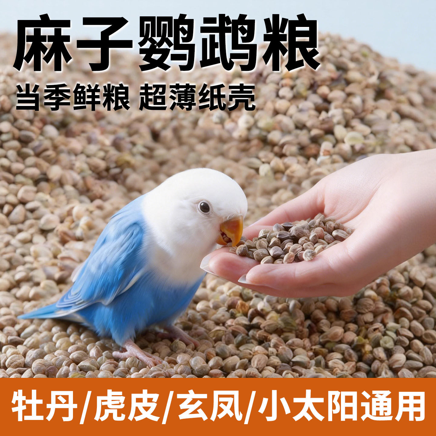 麻子鹦鹉粮小鸟食饲料专用训练奖励零食牡丹虎皮玄凤纸壳皮火麻籽,宠物/宠物食品及用品,鸟零食,淘宝优惠券,粉丝福利购,淘宝优惠卷
