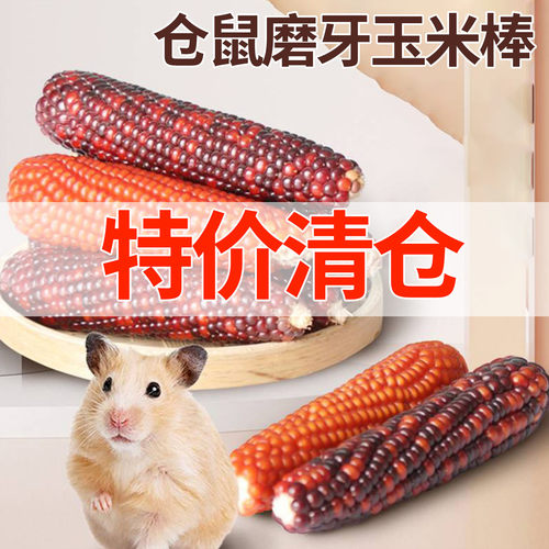 金丝熊仓鼠磨牙棒粮食营养主粮