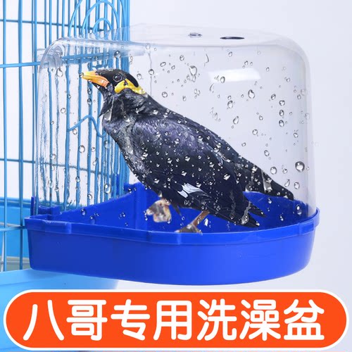 八哥鹦鹉洗澡盆特大号洗澡神器