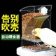 喂鸟神器新款 鹦鹉自动喂食器鸟食盒谷壳分离防撒防溅一体式 外挂式