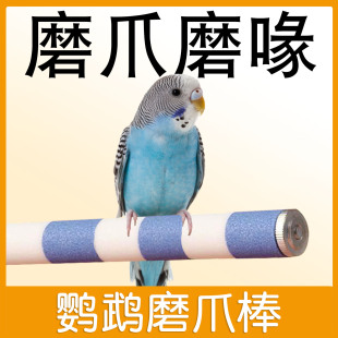 鹦鹉磨爪棒专用磨牙磨砂站杆磨嘴器解闷鸟架鸟笼配件大全啃咬玩具