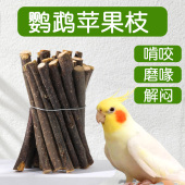 玄凤虎皮牡丹鹦鹉苹果枝专用磨牙棒啃咬玩具磨牙神器鸟类用品大全
