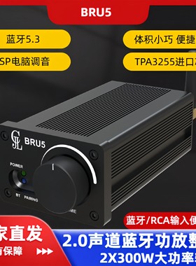 TPA3255 2x300W蓝牙功放机BT5.3模块2.0立体声大功率BRU5 DSP调音