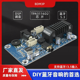 BDM3P蓝牙5.3功放TPA3116立体声2X50W便携音箱电动车音箱DSP调音