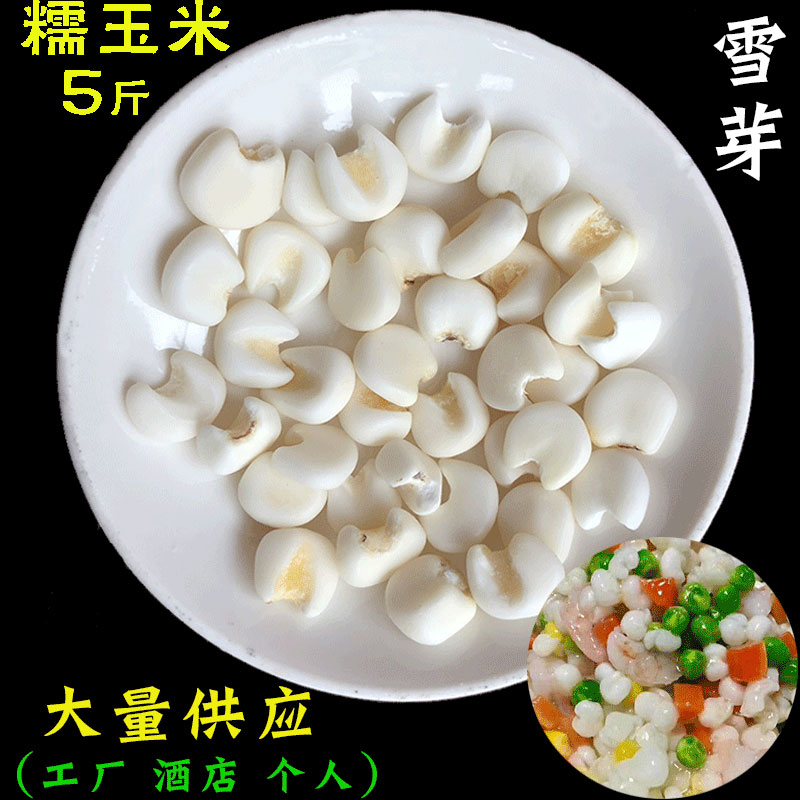 白晶雪芽大颗粒整粒广西白糯玉米
