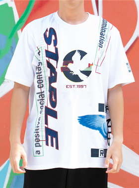 新衣城 STAPLE DOMINATION TEE 25SS主宰鸽子T恤宽松潮牌嘻哈短袖