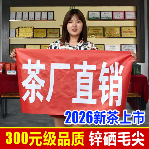贵州高山明前毛尖凤冈锌硒新绿茶