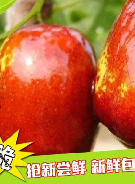 甘肃新鲜水果红枣鲜枣骏枣顺丰