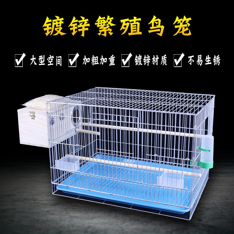 大型加粗加重大号鸟笼子虎皮牡丹玄风鹦鹉鸟笼八哥鸽子镀锌繁殖笼图片