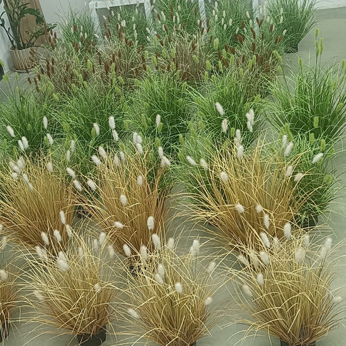 仿真植物毛毛草蒲草丛景观造景