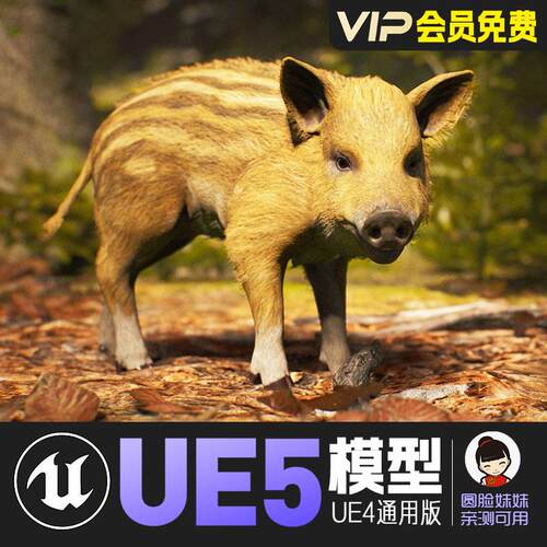 UE5虚幻4_卡通风格化野猪幼崽动画模型Animalia-Wild Boar young