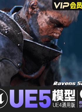 UE5虚幻4_男性圣殿骑士动画角色模型Ravens S2 Templar Knight