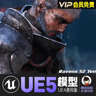 UE5虚幻4_男性圣殿骑士动画角色模型Ravens S2 Templar Knight