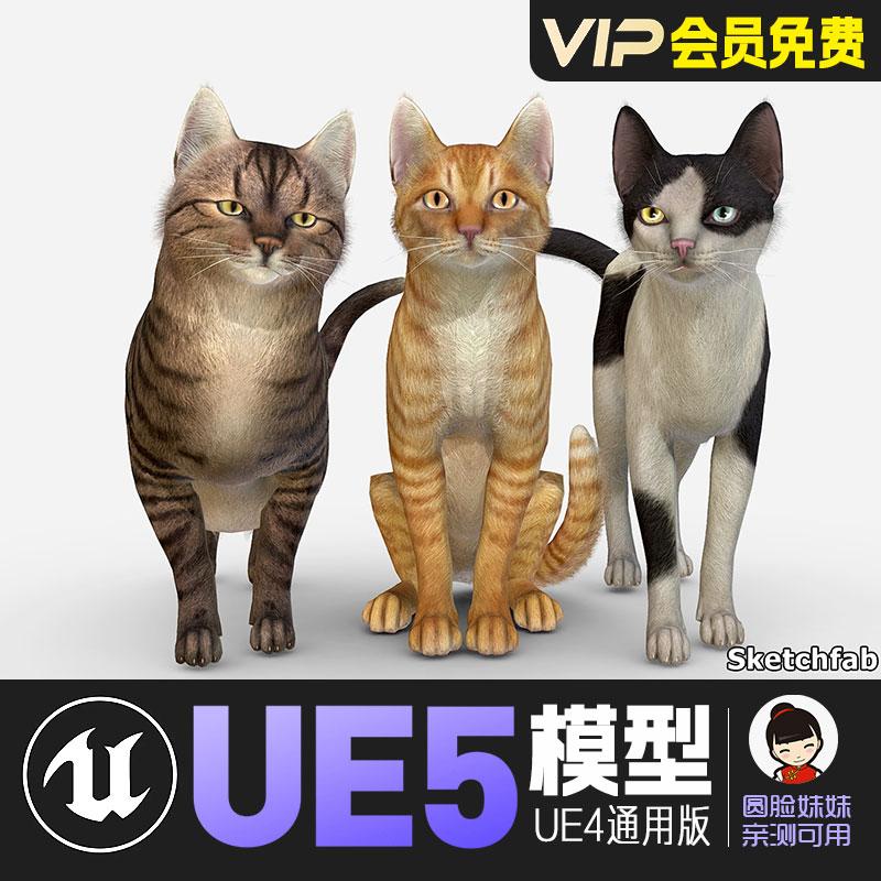UE5虚幻4_卡通风格化猫咪动画角色模型合集包 Cats Big Pack