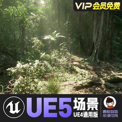 UE5虚幻5_热带雨林铁路自然风景Tropical Rainforest Trees Biome