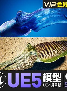 UE5虚幻4_卡通风格化墨鱼伪装动画角色模型Cuttlefish Camouflage