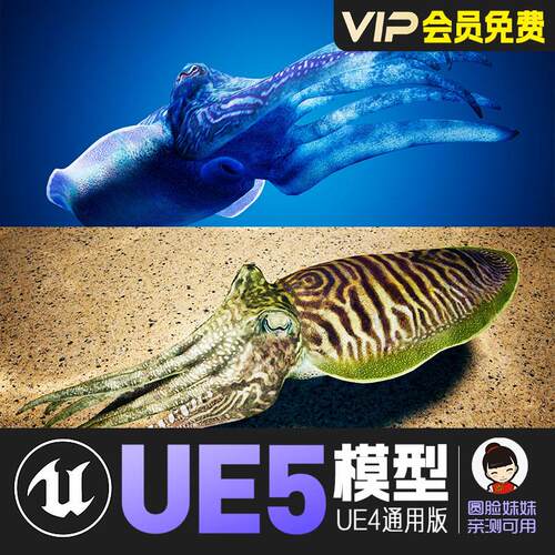 UE5虚幻4_卡通风格化墨鱼伪装动画角色模型Cuttlefish Camouflage