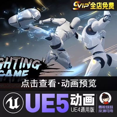 武术格斗游戏UE4虚幻5动画动作资产Martial Arts Fight Game