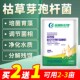 枯草芽孢杆菌原粉水产养殖冻干EM菌原粉水产用乳酸菌复合芽孢净水