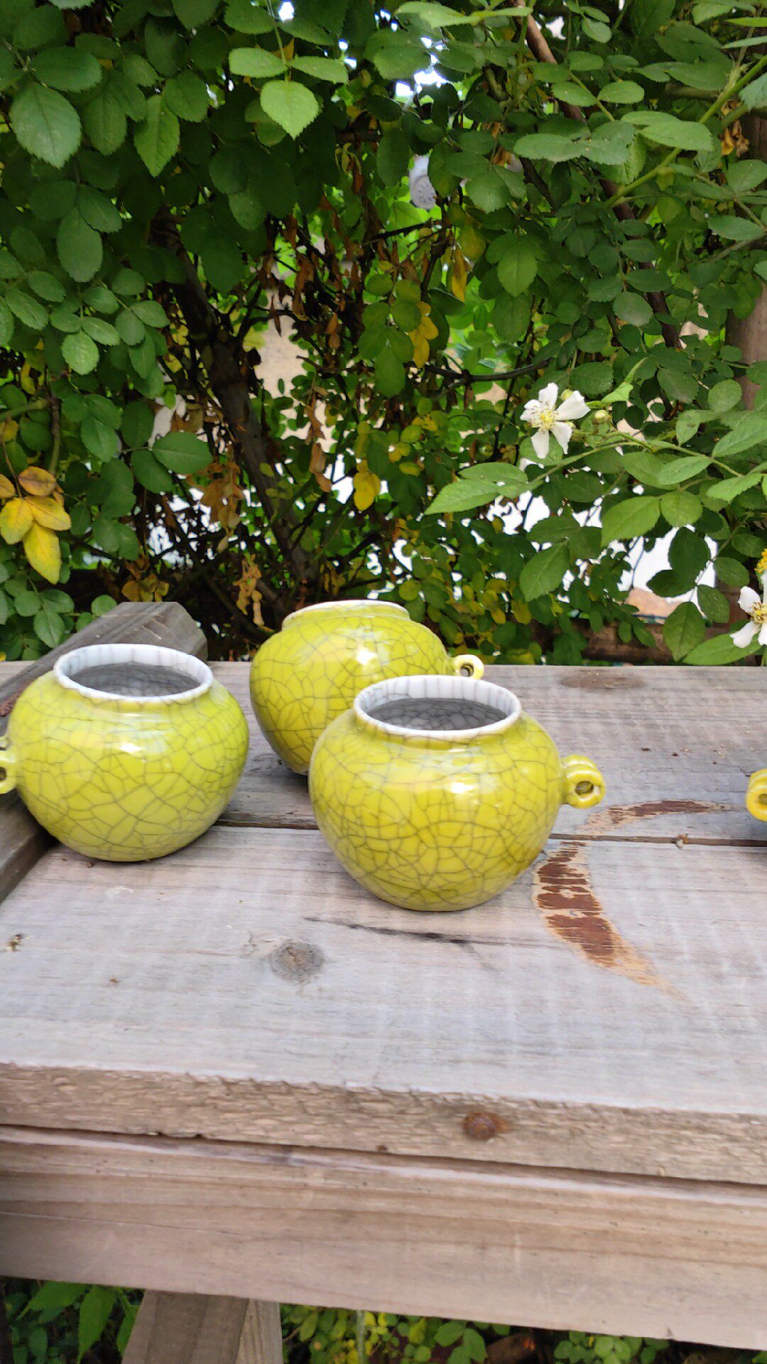 仿古冰裂纹绣眼鸟食罐玉乐轩绣眼缸 景德镇陶瓷鸟碗颜色釉特惠