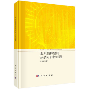 希尔伯特空间分裂可行性问题/王丰辉 王丰辉   9787030732569科学出版社